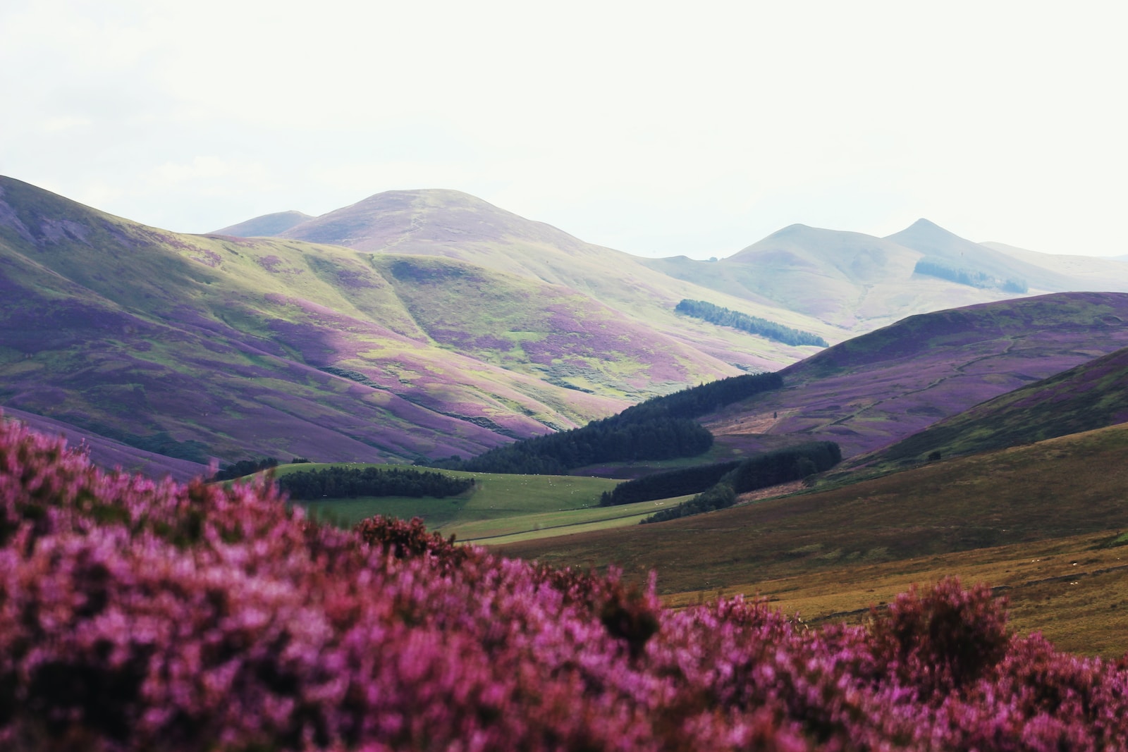green mountains photo during daytime